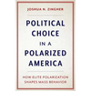 Political Choice in a Polarized America: How Elite Polarization Shapes Mass Behavior - Paperback