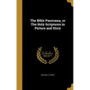 The Bible Panorama, or The Holy Scriptures in Picture and Story - Hardcover