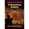 Tribulation Saints: Strangers and Pilgrims Series Book Six - Paperback