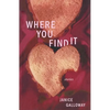 Where You Find It: Stories - Paperback