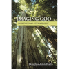 Imaging God - Paperback