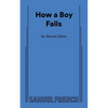 How a Boy Falls - Paperback