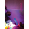 Phenomenology of Pregnancy - Paperback