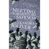 Meeting the Tormentors in Safeway - Paperback