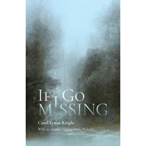 If I Go Missing - Paperback