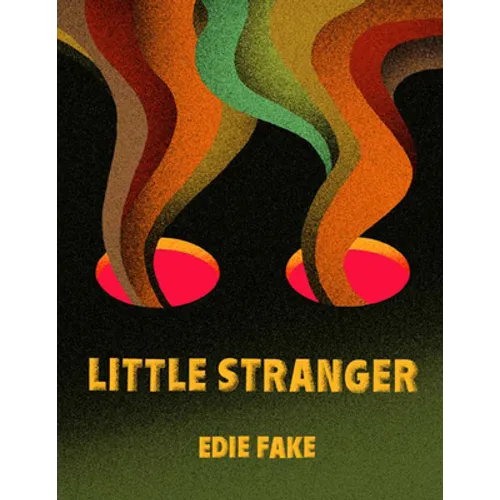 Little Stranger - Paperback