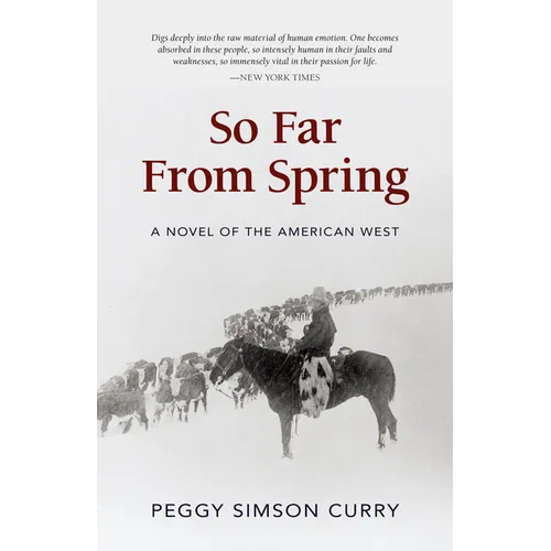 So Far from Spring - Hardcover