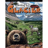 Going to Glacier NP - Paperback