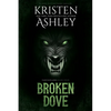Broken Dove - Paperback