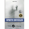Spirits Unveiled: A Theological Unveiling of the Spiritual Realm - Paperback