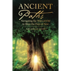 Ancient Paths: Navigating the Ways of Old to Bless the Days of New - Paperback