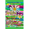 The Fantastical Tumultuous Non-stop Thoughts of Linda! - Paperback