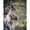 Walking Awake: The Faces in Nature - Paperback