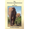 The Adventures and Misadventures of Juan Loco - Paperback
