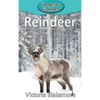 Reindeer - Hardcover