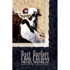 Past Perfect - Paperback