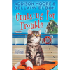 Cruising for Trouble - Paperback