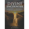 Divine Encounter: 40 Day Journey to total freedom, healing and prosperity - Paperback