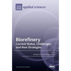 Biorefinery: Current Status, Challenges, and New Strategies - Hardcover