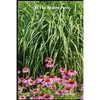 Off The Beaten Path: 4 year Blood Glucose Tracker - Paperback