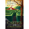 Carter and the Curious Maze: Weird Stories Gone Wrong - Paperback