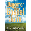 Waggoner on the Gospel of John - Paperback