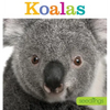 Seedlings: Koalas - Paperback