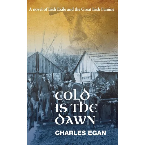 Cold is the Dawn: A Novel of Irish Exile and the Great Irish Famine - Hardcover