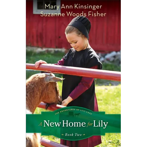 A New Home for Lily - Paperback