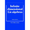 Infinite-Dimensional Lie Algebras - Paperback