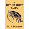 A Nature Study Guide (Yesterday's Classics) - Paperback