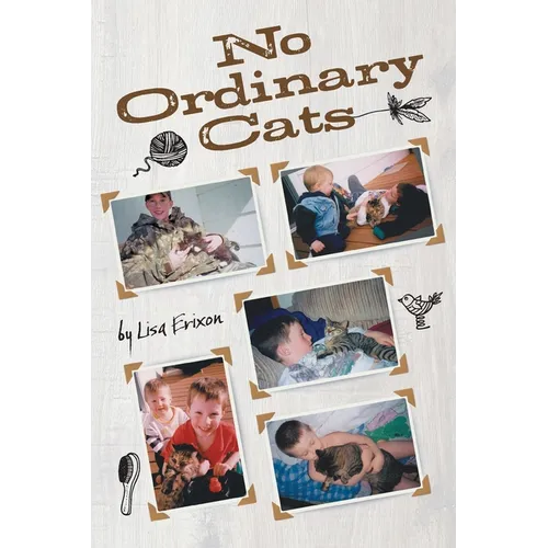 No Ordinary Cats - Paperback