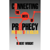 Connecting the Dots of Prophecy: Profile of a Killer - Paperback