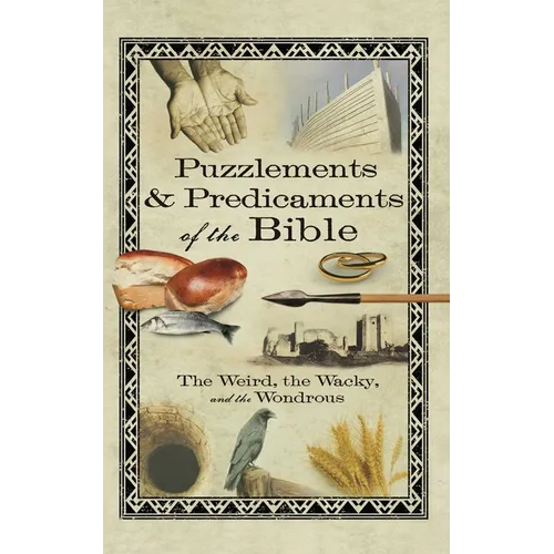Puzzlements & Predicaments of the Bible - Paperback
