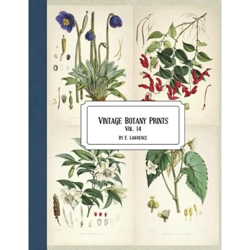 Vintage Botany Prints: Vol. 14 - Paperback