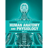 Essentials of Human Anatomy and Physiology - Paperback