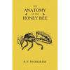 The Anatomy of the Honey Bee - Paperback