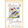 The Before a Bad Goodbye - Paperback