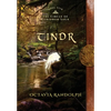 Tindr: Book Five of The Circle of Ceridwen Saga - Hardcover