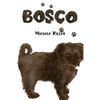 Bosco - Paperback