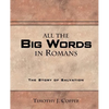 All The Big Words in Romans - Paperback
