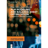 Alm Modeling and Balance Sheet Optimization: A Mathematical Approach to Banking - Hardcover