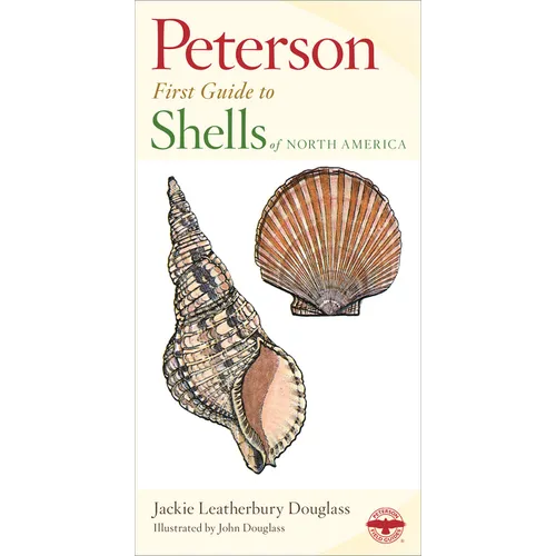 Shells of North America - Paperback