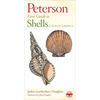 Shells of North America - Paperback