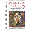Plants of the Gods: Their Sacred, Healing, and Hallucinogenic Powers - Paperback