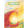 Consultation with a midwife: Sensitive, natural guidance through pregnancy, childbirth, childbed and breast-feeding - Paperback