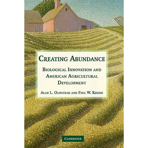 Creating Abundance - Paperback