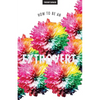 How To Be An Extrovert - Paperback