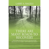 There Are Many Roads to Recovery: The Story of Over 100 Addiction Recovery Programs That Work --- and a Few That Didn't - Paperback