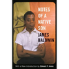 Notes of a Native Son - Paperback